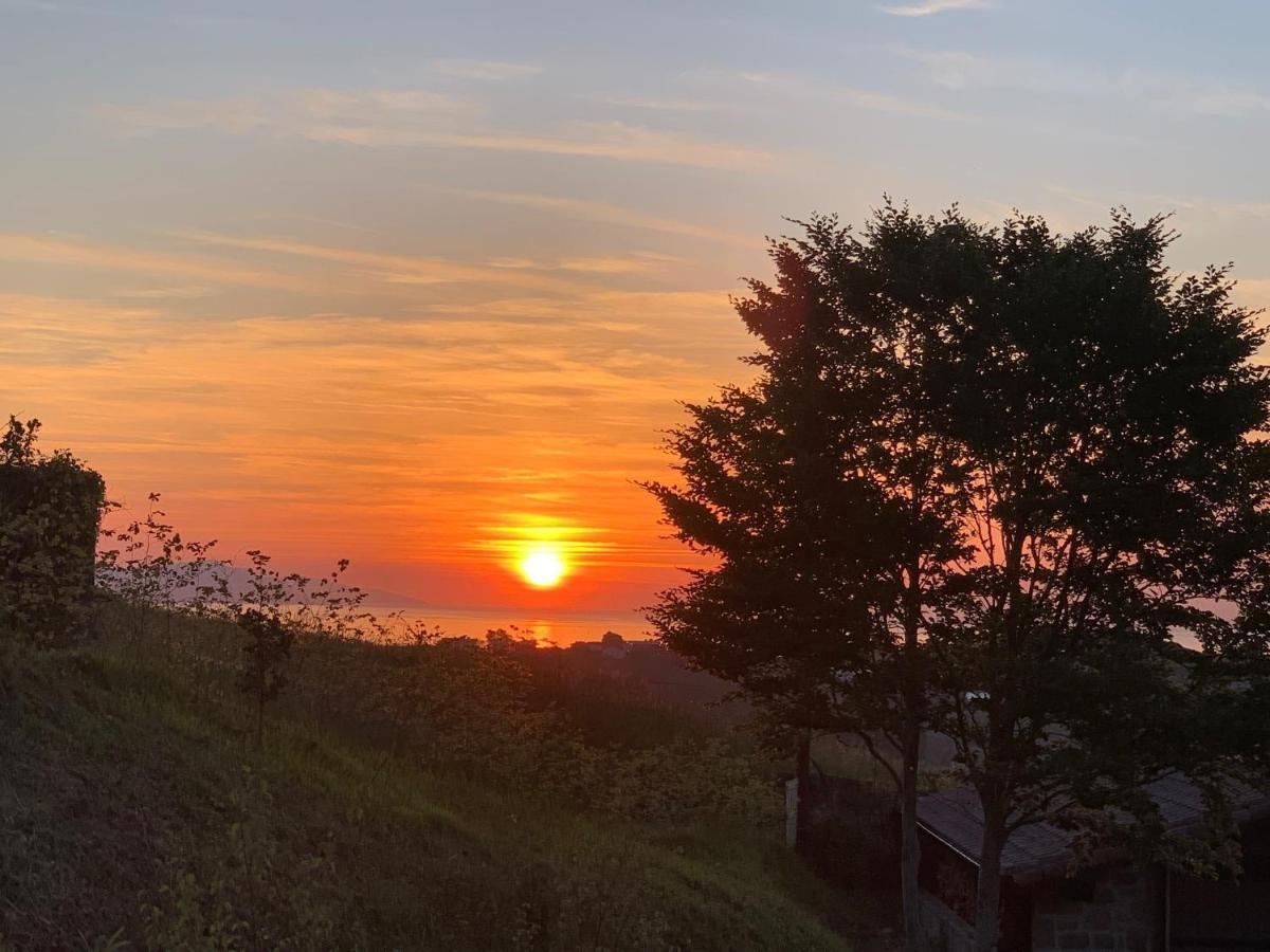 Appartamento Golindo Goikoa Getaria Esterno foto