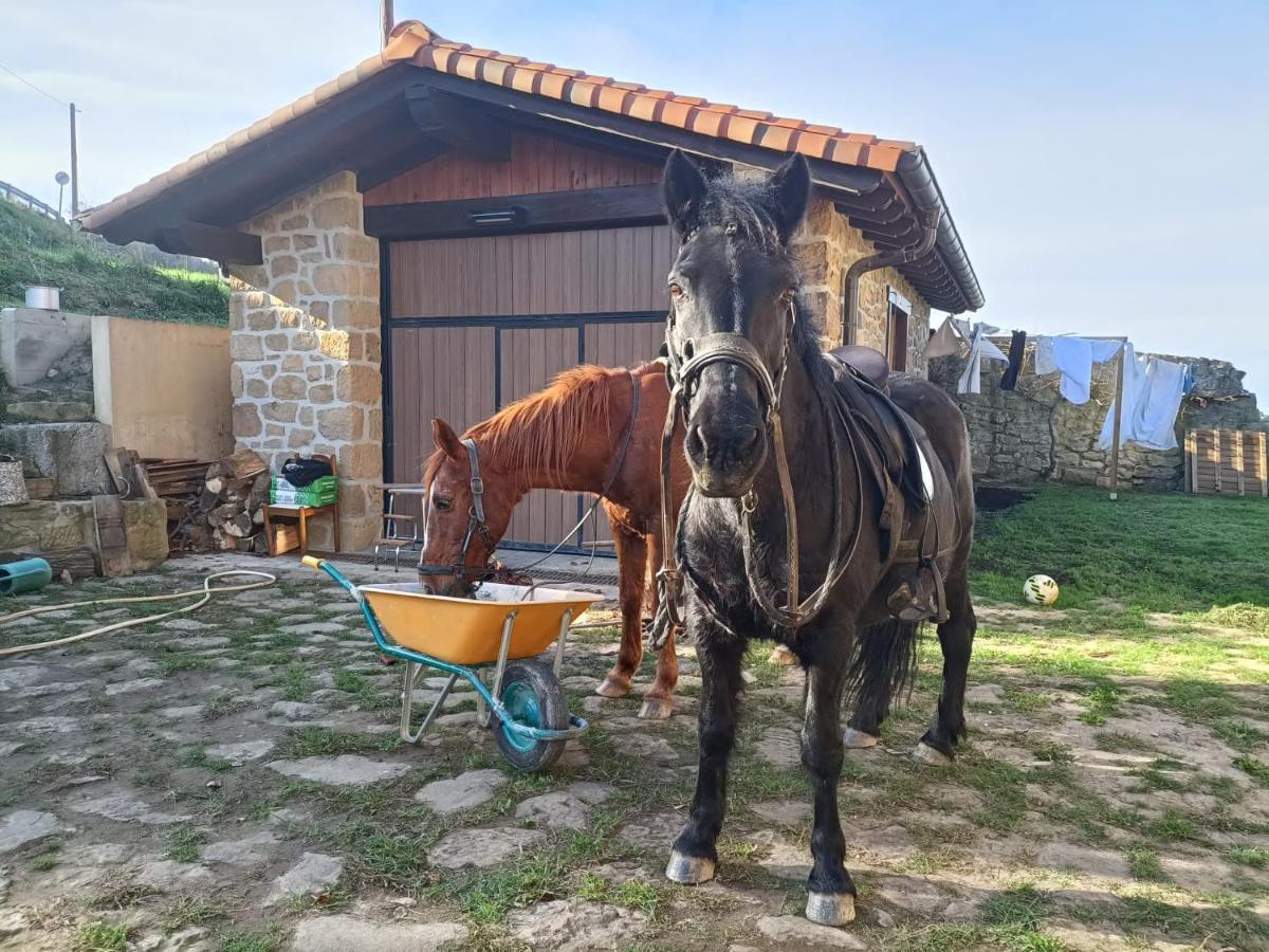 Appartamento Golindo Goikoa Getaria Esterno foto