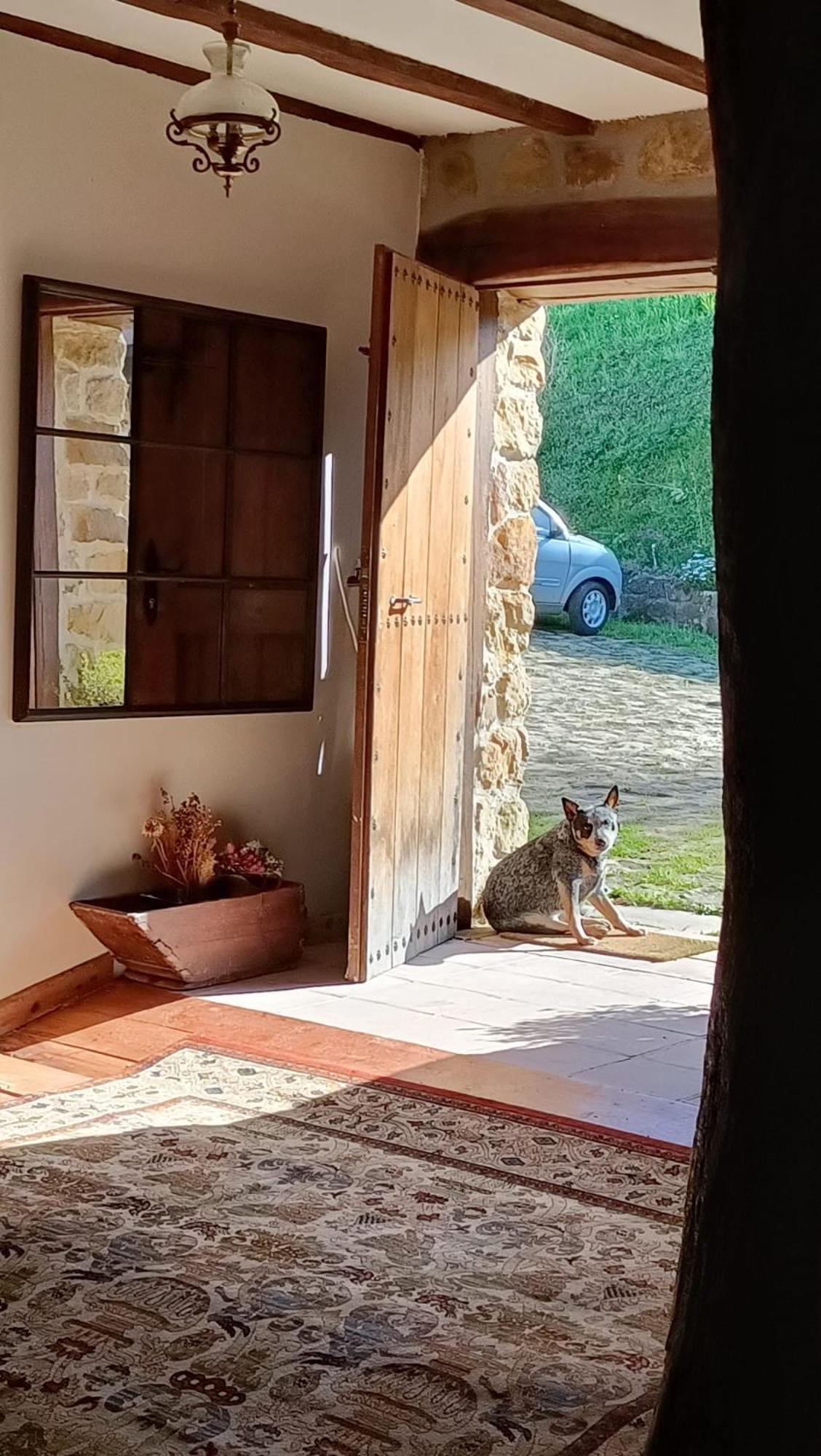 Appartamento Golindo Goikoa Getaria Esterno foto